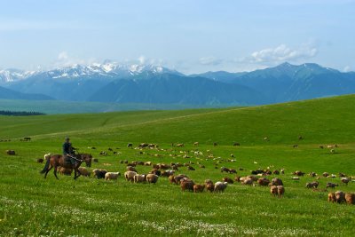 _DSC3144.jpg