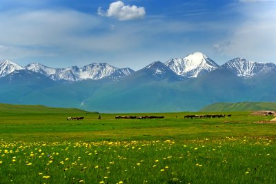 _DSC3497.jpg