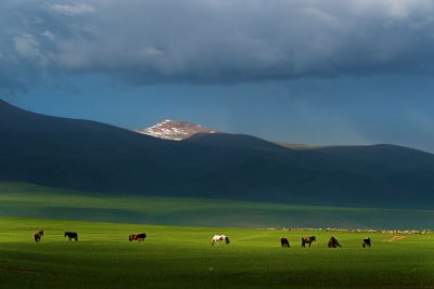 _DSC3525.jpg