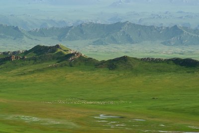 _DSC3694.jpg
