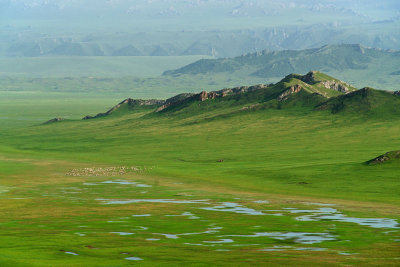 _DSC3735.jpg