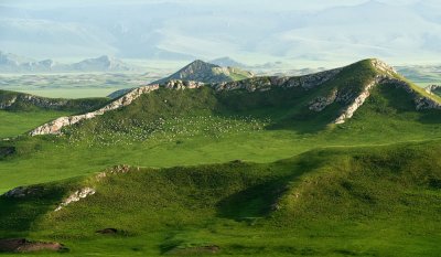 _DSC3781.jpg