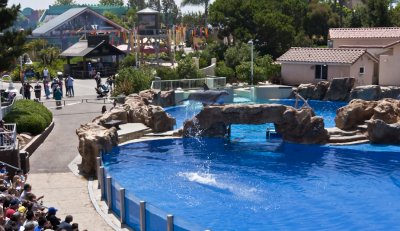 san_diego_sea_world