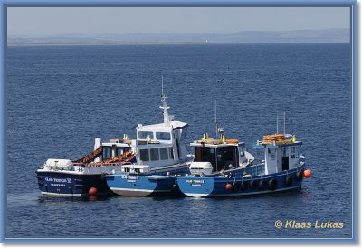 sized__DSC0404.JPG