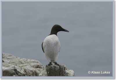 sized__DSC1163.JPG