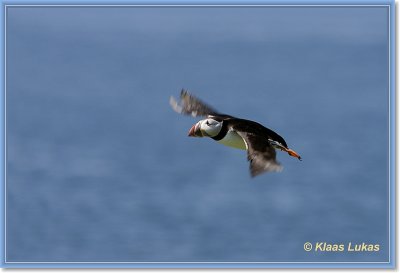 sized__DSC0606a.JPG