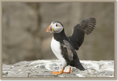 sized__DSC0921.JPG