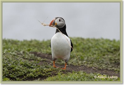 sized__DSC9707a.JPG