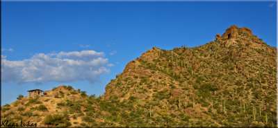 Tucson_D805594.jpg