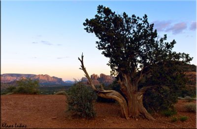 Sedona_D806190.jpg