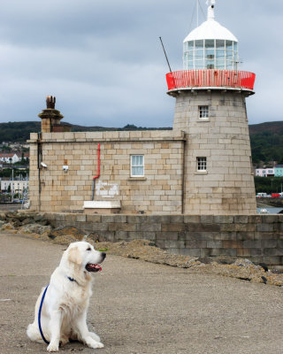 Relaxing at Howth Harbour