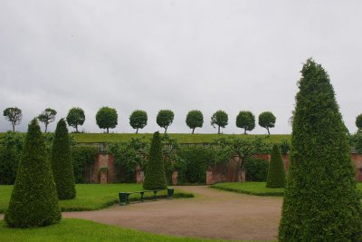 24.jpg