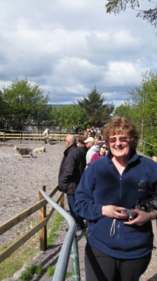 Linda at the sheep farm