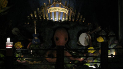The Octopus's Garden