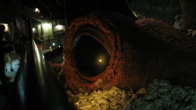 Giant squid