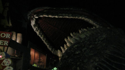 Whale's mouth