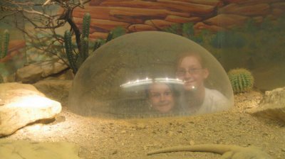 In among the lizards