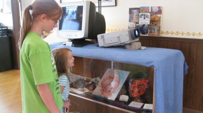 Friday - a visit to the Rountree Gallery