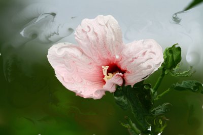 IMG_4362.JPG