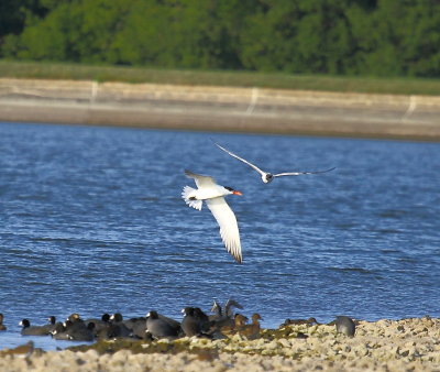 IMG_4832.JPG