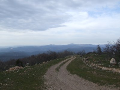 road through horizon