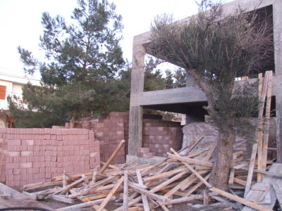 DSCF4492.JPG