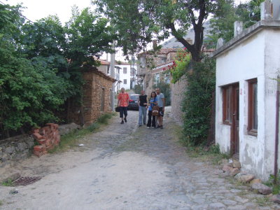 zeytinli