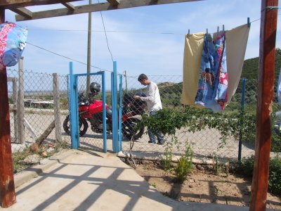 pansion garden