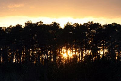 g1/39/1839/3/109231809.XJY1L1mK.jpg