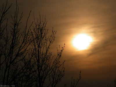 AprilSunsetsig2003MN.jpg