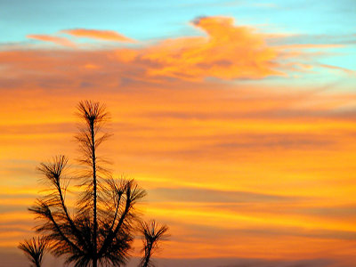 ThanksgivingSunset2002MN.jpg