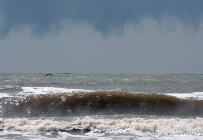 beachstormysky1may2008TX (3).jpg