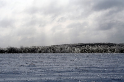 cold2feb2007KY.jpg