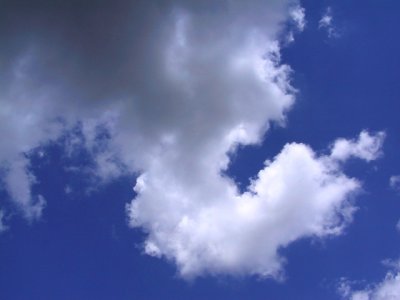 elephantcloud2002MN.jpg