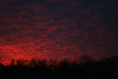 march2006sunriseKY.jpg