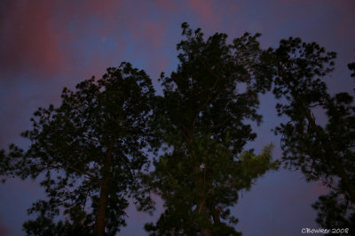 nightbeforeIke2sept2008TX (3).jpg