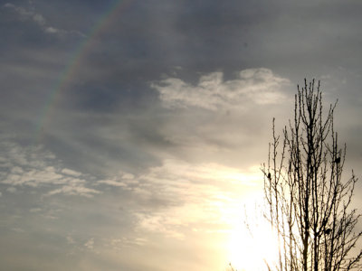 rainbowKY2007.jpg