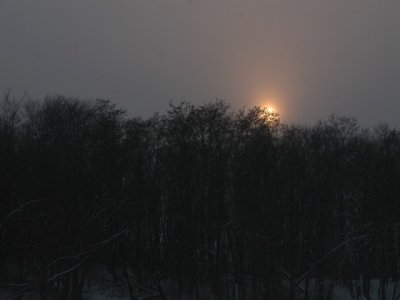 snowysunfeb2004MN.jpg