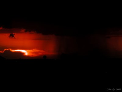 stormonhorizonMN2003.jpg