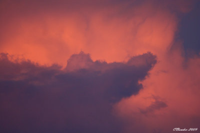 txjune2009stormclouds1.jpg