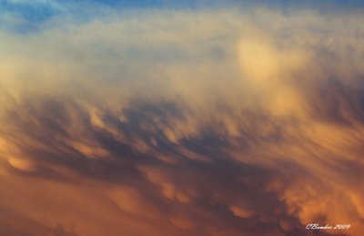 txjune2009stormclouds4.jpg