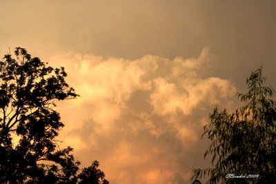 txjuly2009stormclouds8.jpg