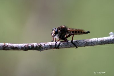 g1/39/1839/3/126894801.du1uChUw.jpg