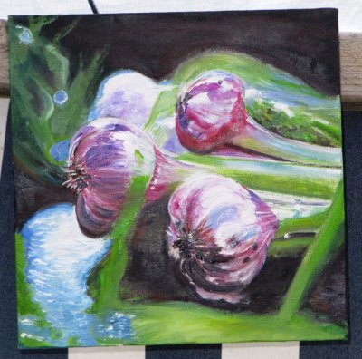  Vitlkar (olja p galleriduk 20x20)