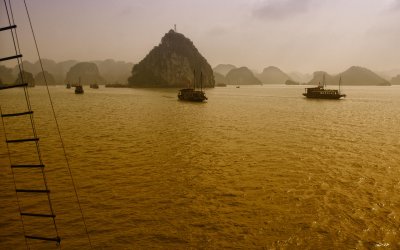 _DSC7515