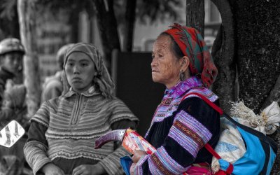 _DSC8741