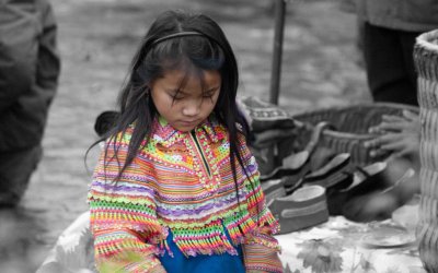 _DSC8890