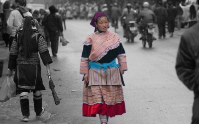 _DSC8937