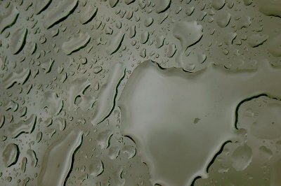 g1/39/341739/3/105023729.zGNC8Xl8.jpg