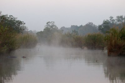 Early Morning on Sand River